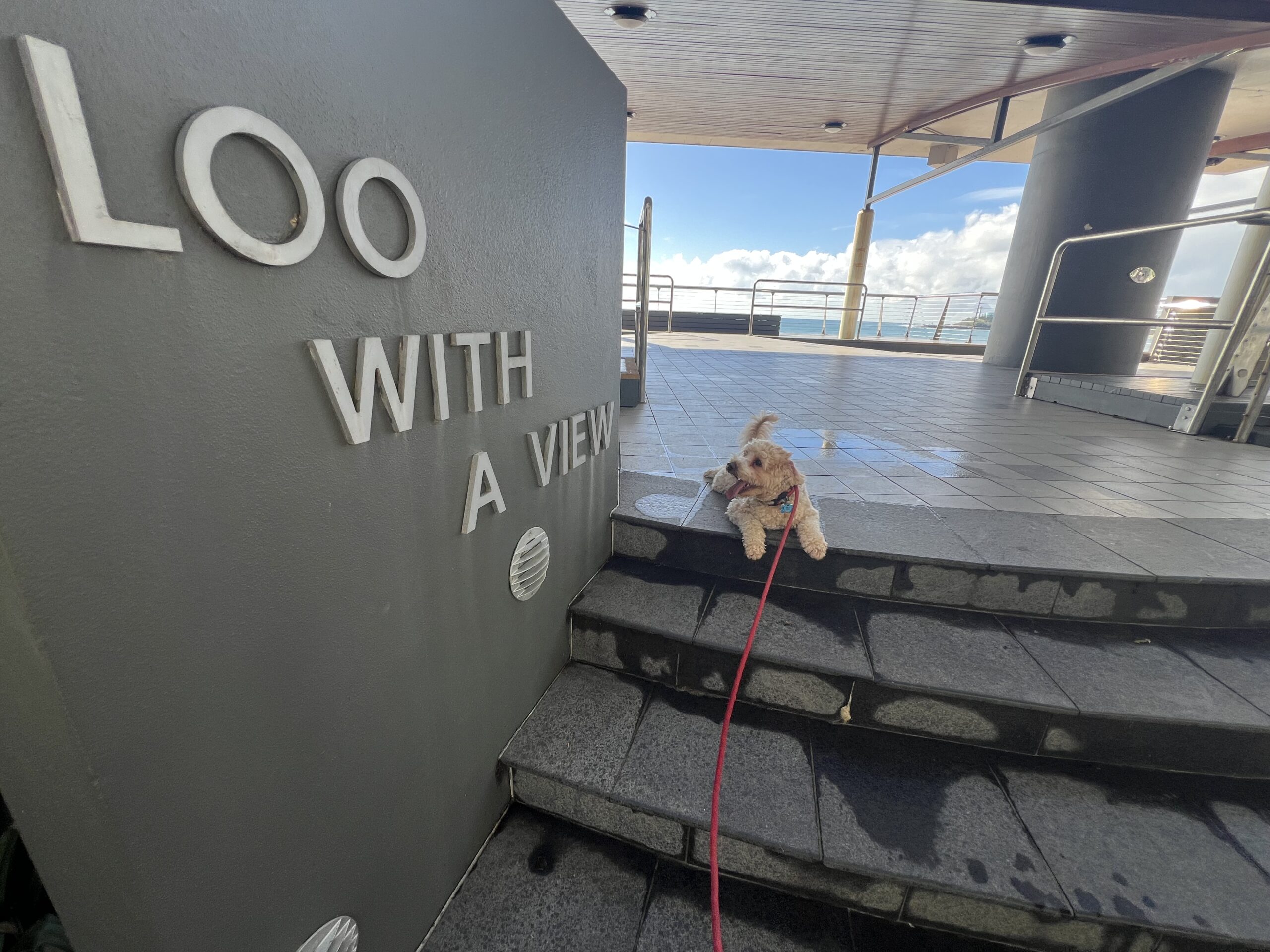 Ruff Ruff Reviews - Loo with a View, Mooloolaba - Ralph next to sign