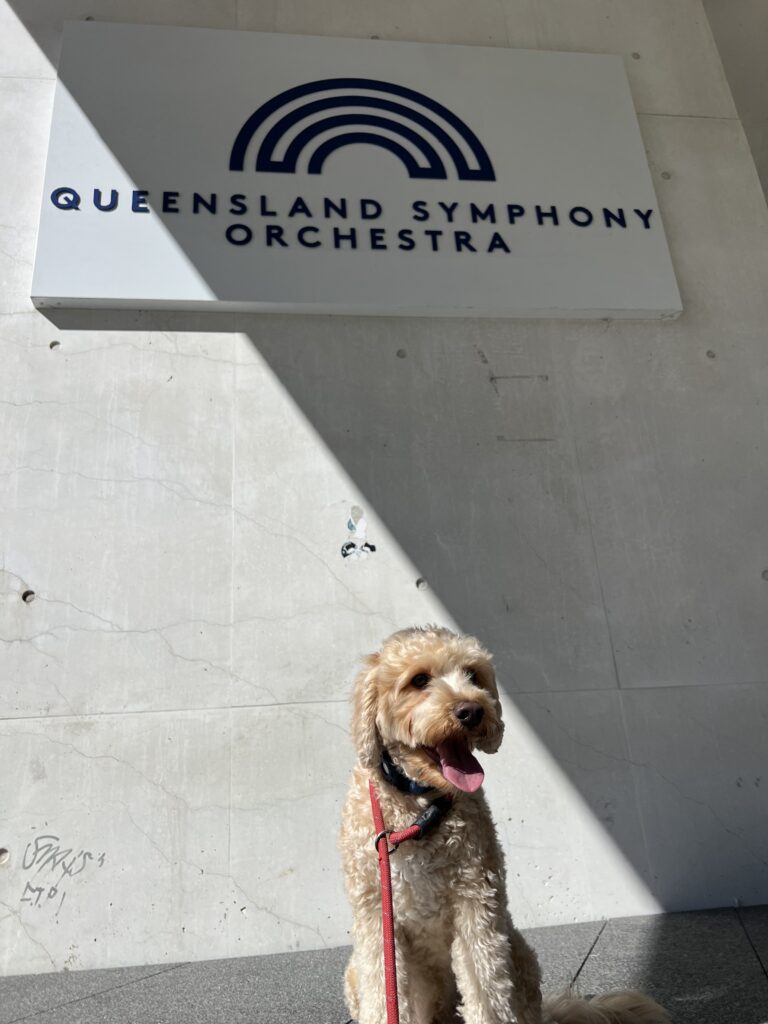 Ruff Ruff Reviews - Cultural Forecourt, Southbank, South Brisbane - Queensland Symphony Orchestra