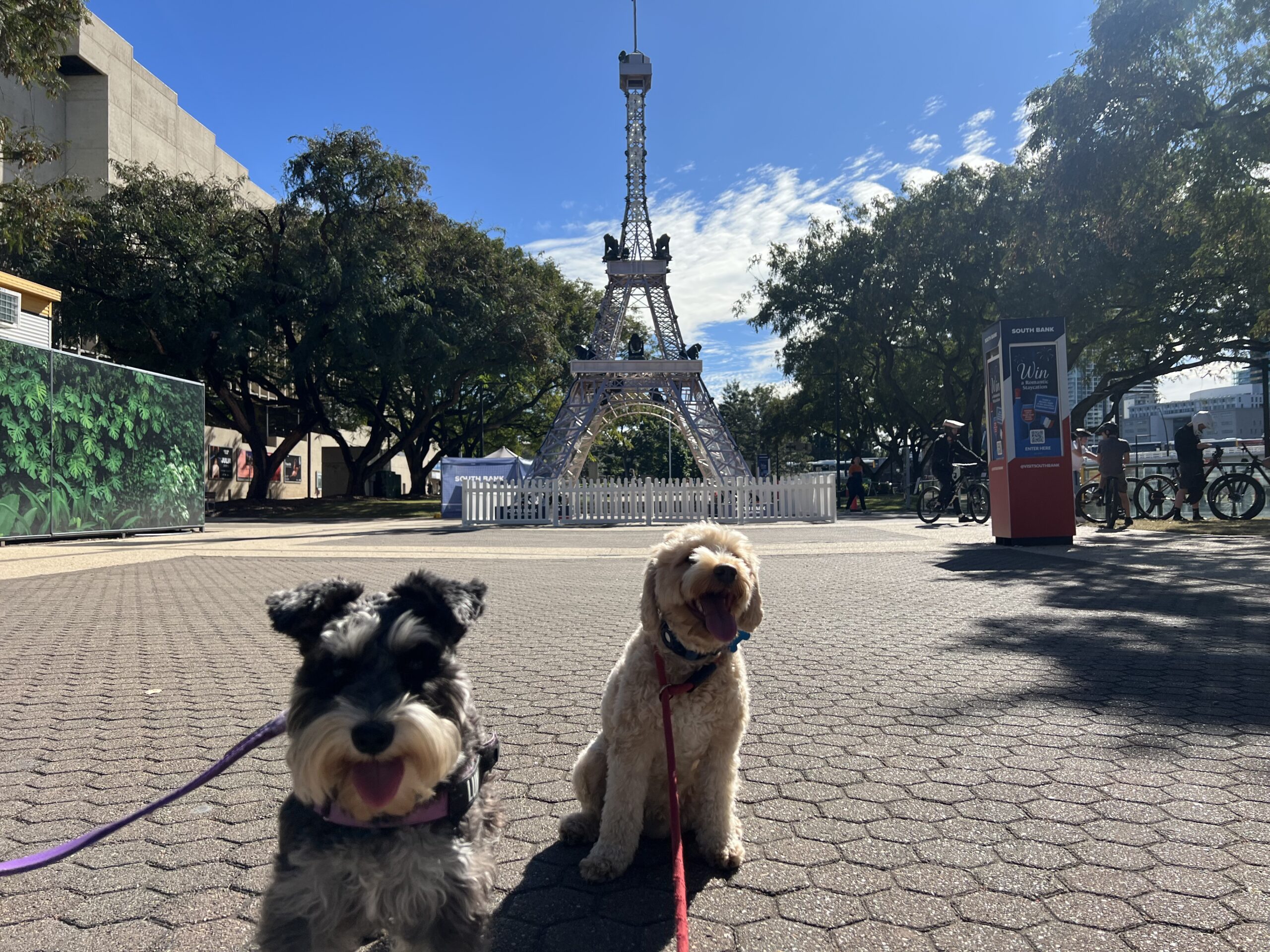 Ruff Ruff Reviews - Cultural Forecourt, Southbank, South Brisbane - Eiffel Tower