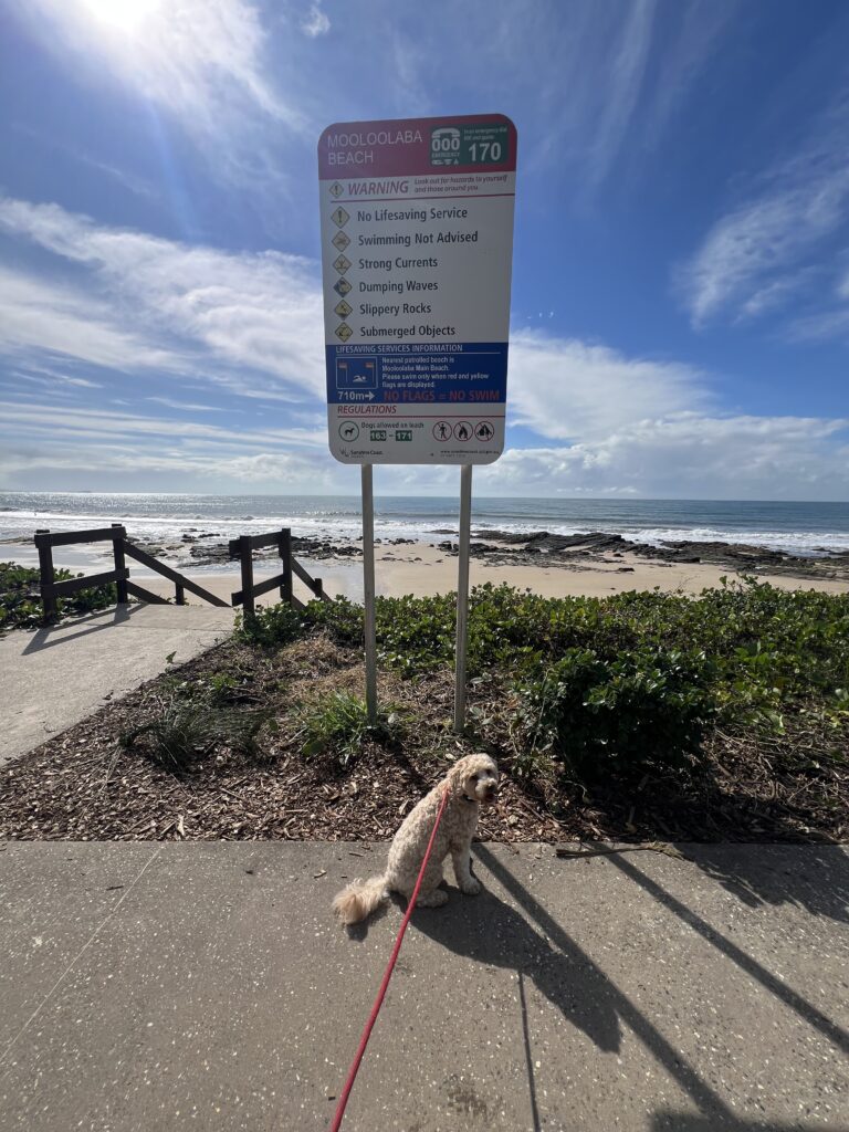 Ruff Ruff Review - Mooloolaba Beach, Mooloolaba - Ralph in front of beach sign