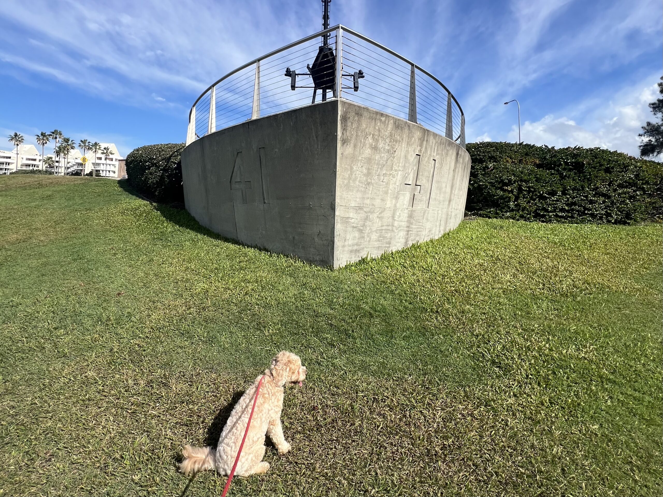 Ruff Ruff Reviews - HMAS Brisbane Lookout, Alexandra Headland, Mooloolaba Coastal Walk - Ralph looking at ship