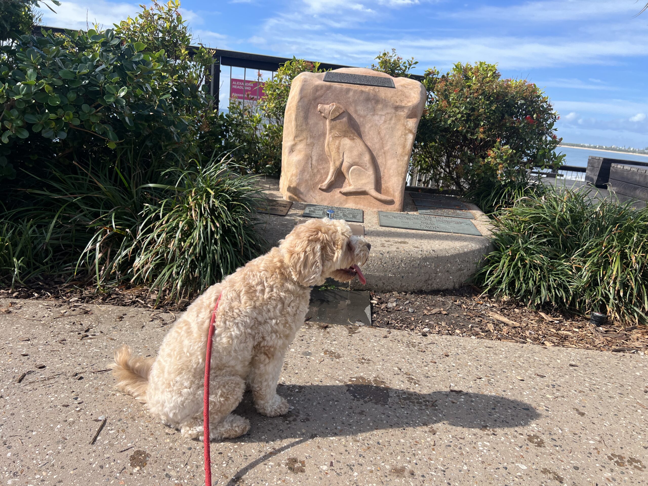 Ruff Ruff Reviews - Alex Bluff Foreshore Park (Churinga Park) - War Dog Memorial