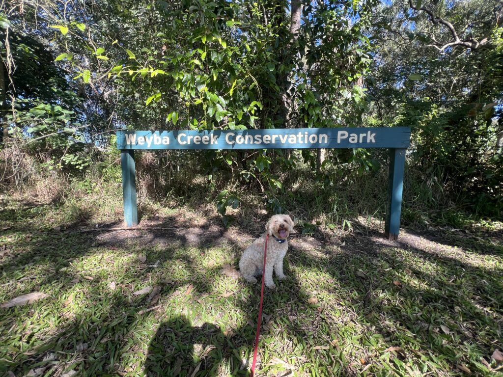 Ruff Ruff Reviews - Weyba Creek Conservation Park - Ralph next to sign