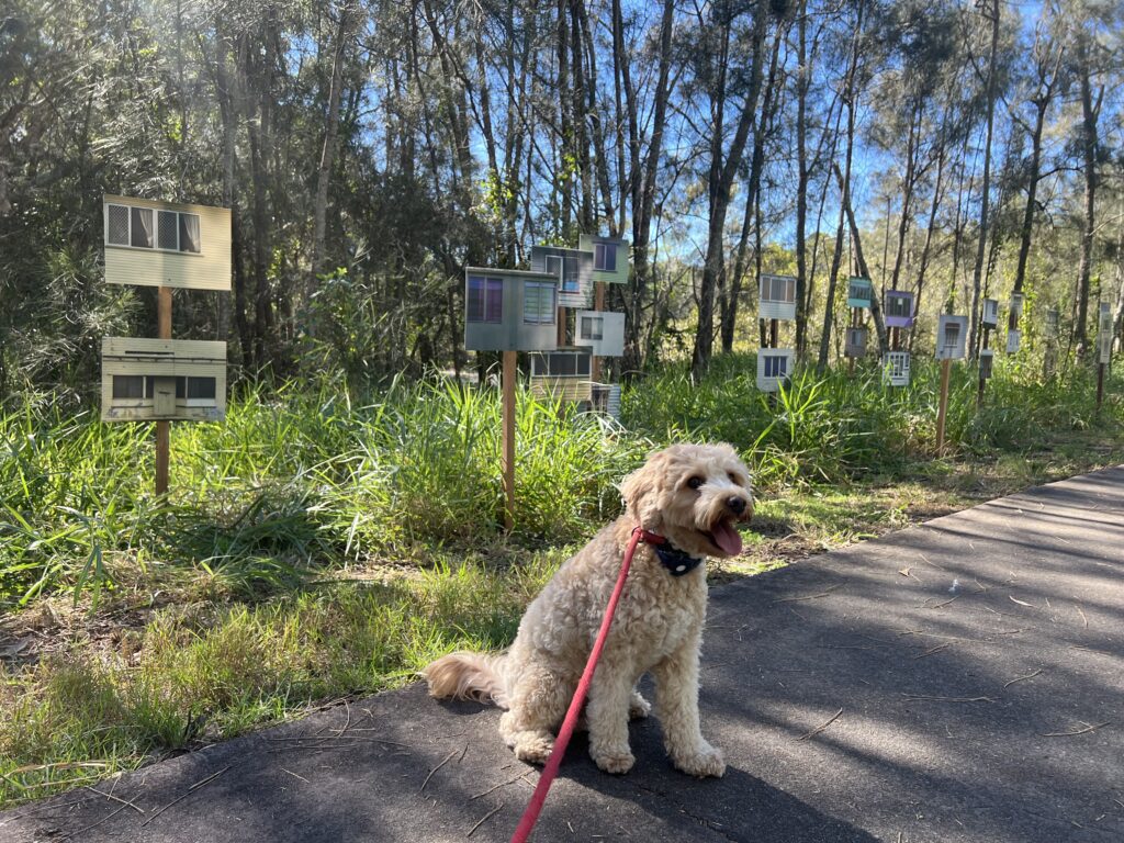Ruff Ruff Reviews - Weyba Creek Conservation Park - Ralph next to temporary art installation