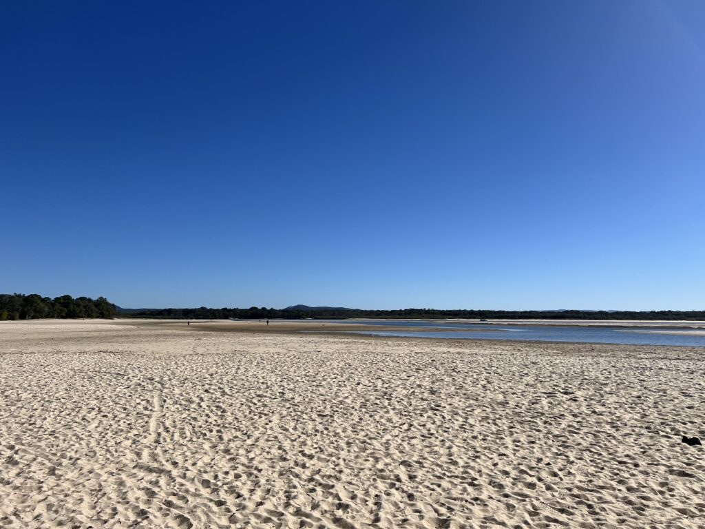 Ruff Ruff Reviews - Noosa Spit Dog Beach "Doggy Beach" - Beach views
