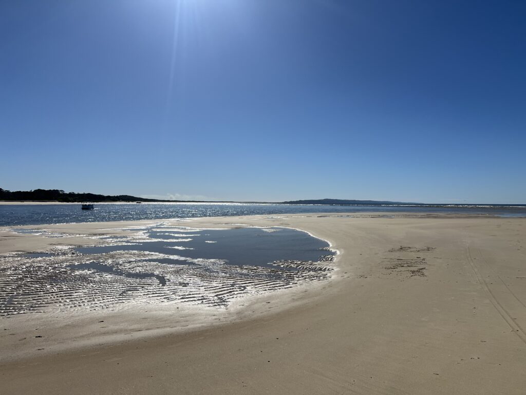 Ruff Ruff Reviews - Noosa Main Beach (Claude Batten Drive), Noosa - Beach views