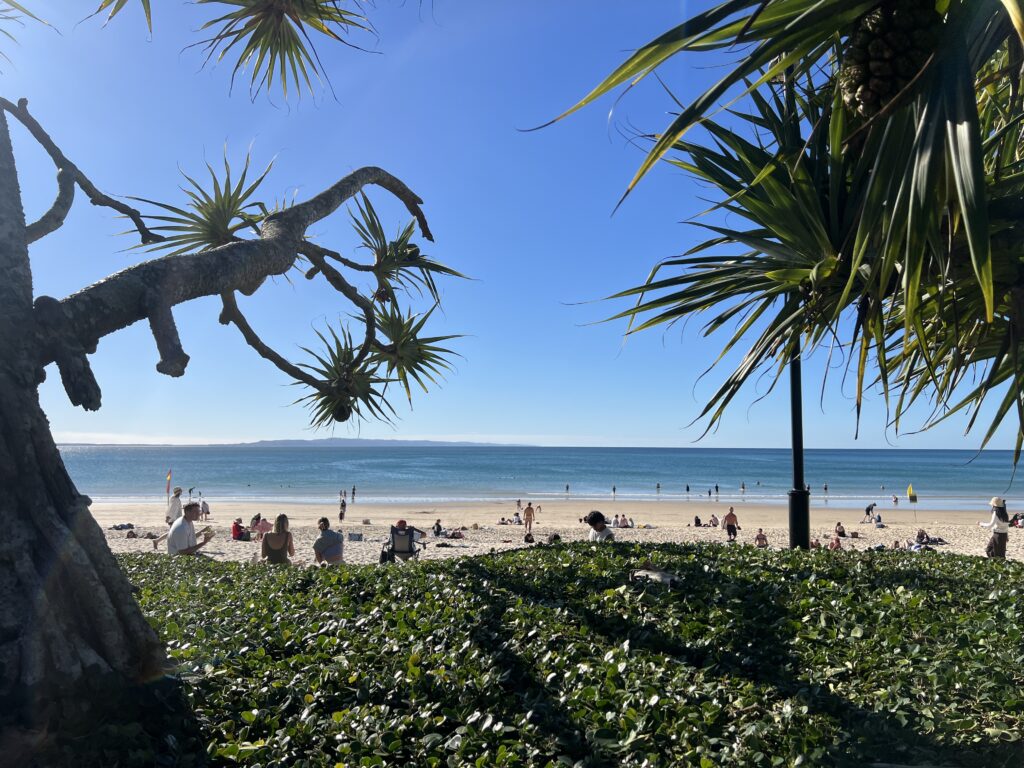 Ruff Ruff Reviews - Noosa Main Beach (Noosa Heads SLSC) - Beach views