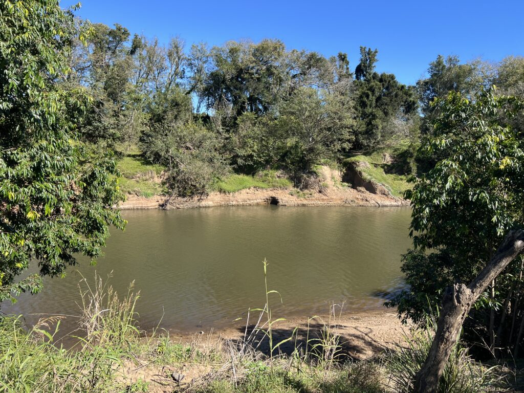 Ruff Ruff Reviews - The Sands, River to Rail Trail, Gympie - Mary River Views
