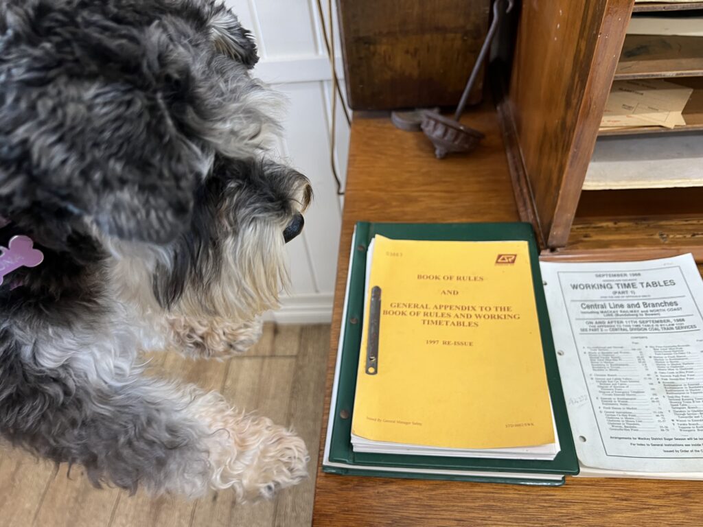 Ruff Ruff Reviews - Mary Valley Rattler Train and Station, Gympie - Luna inspecting books