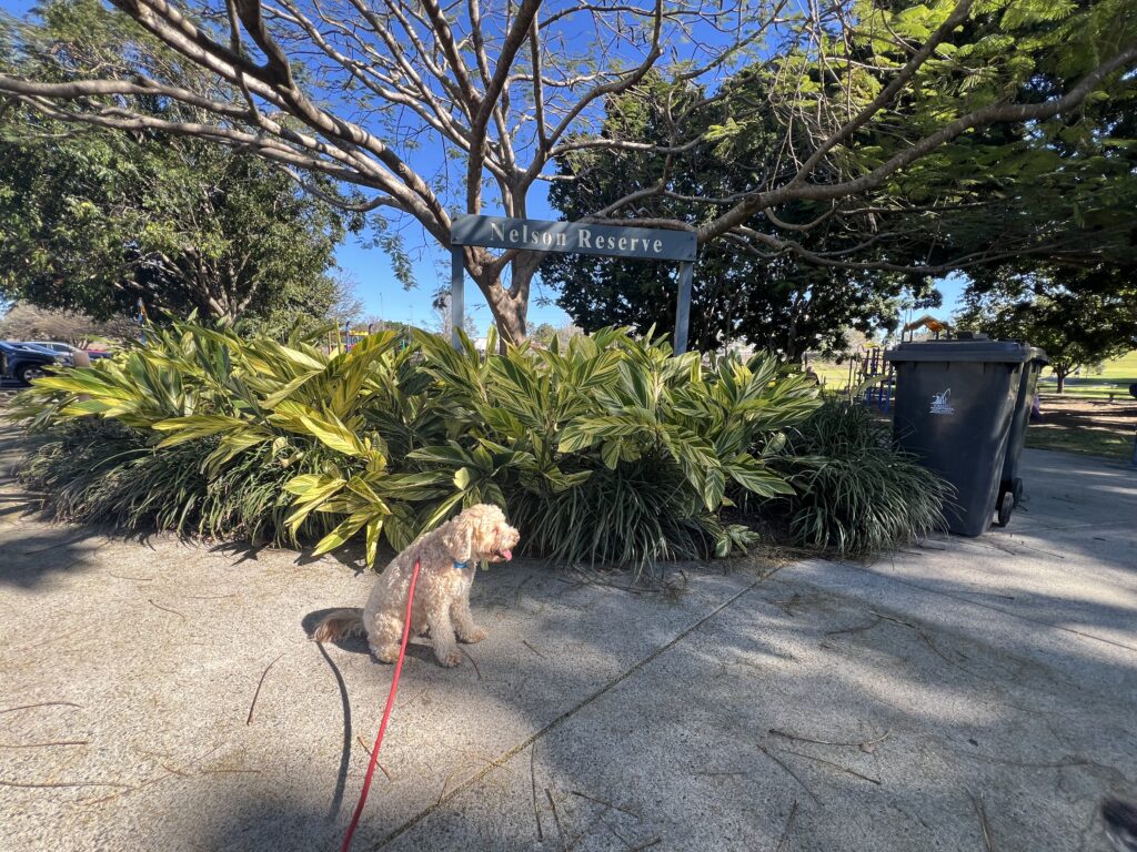 Ruff Ruff Reviews - Nelson Reserve and Memorial Park, Gympie - Ralph sitting next to sign