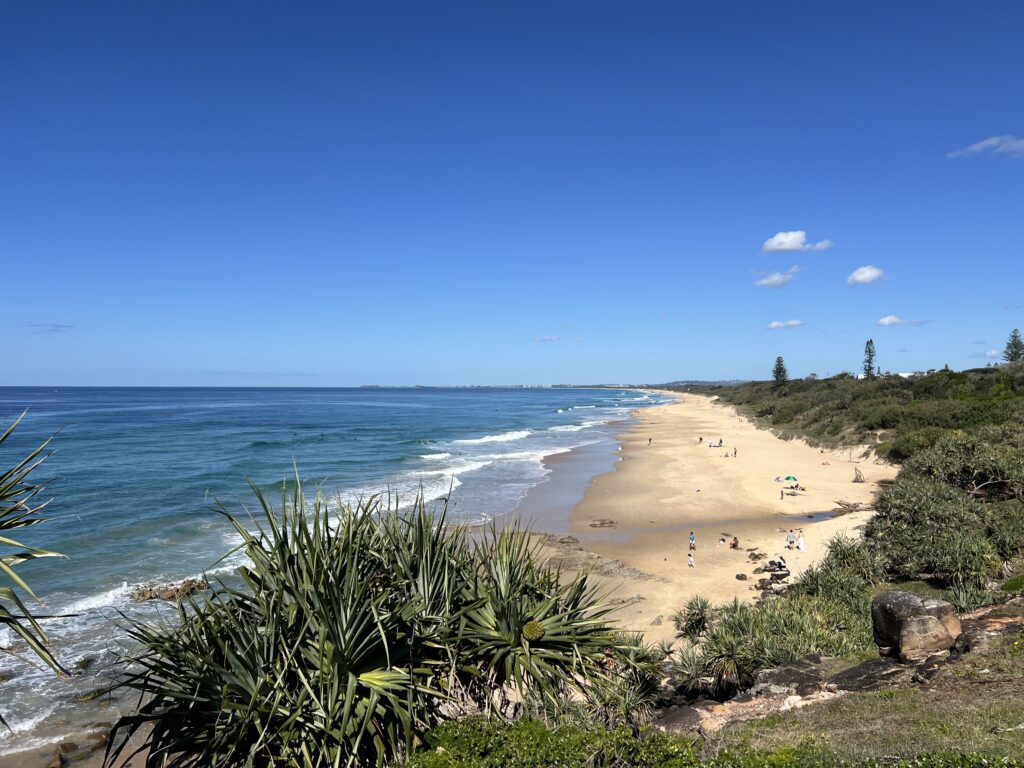 Ruff Ruff Reviews - Point Arkwright Headland Park - Lookout views