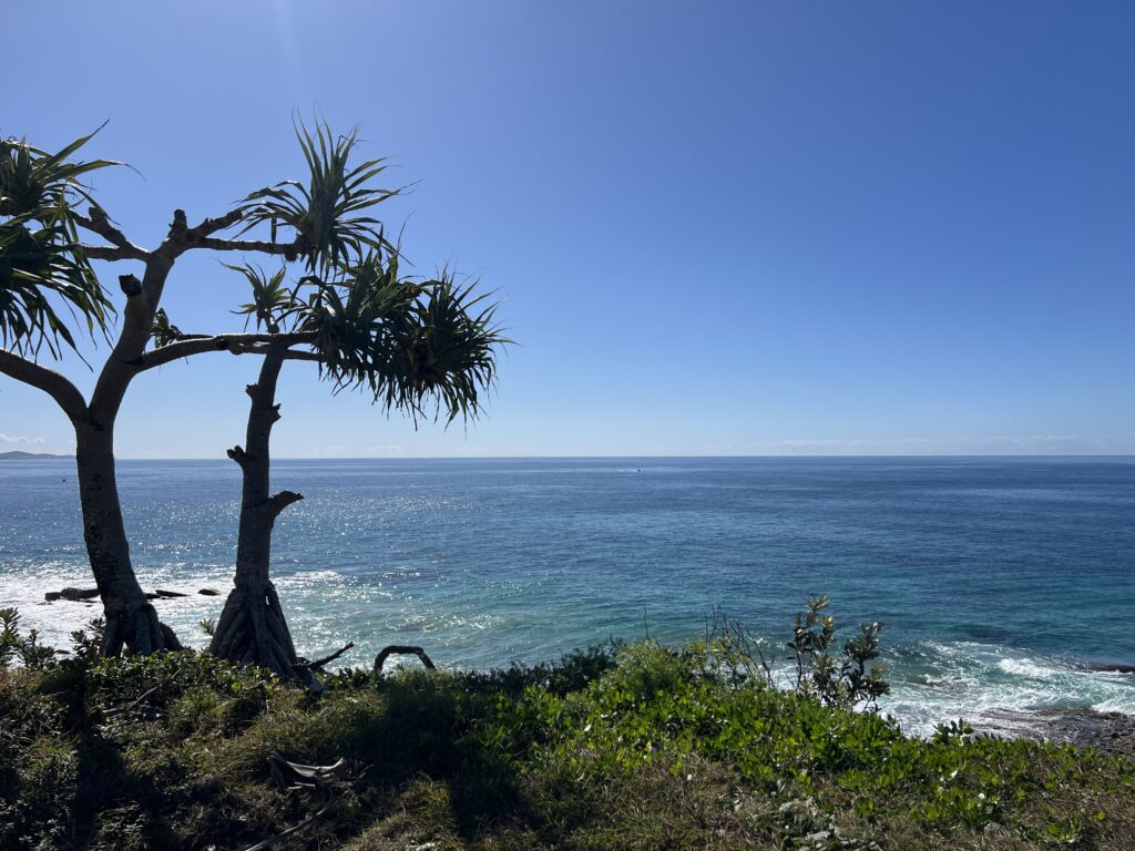 Ruff Ruff Reviews - Point Arkwright Headland Park - Ocean views