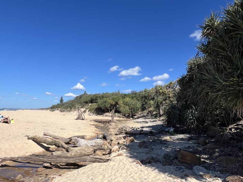 Ruff Ruff Reviews - Jubilee Esplanade Beach (Beach 85), Point Arkwright - Beach views