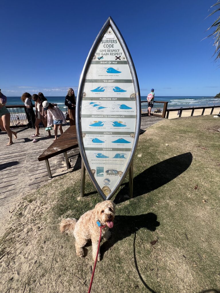 Ruff Ruff Reviews - Coolum Beach (Coolum SLSC) - Ralph surfing sign