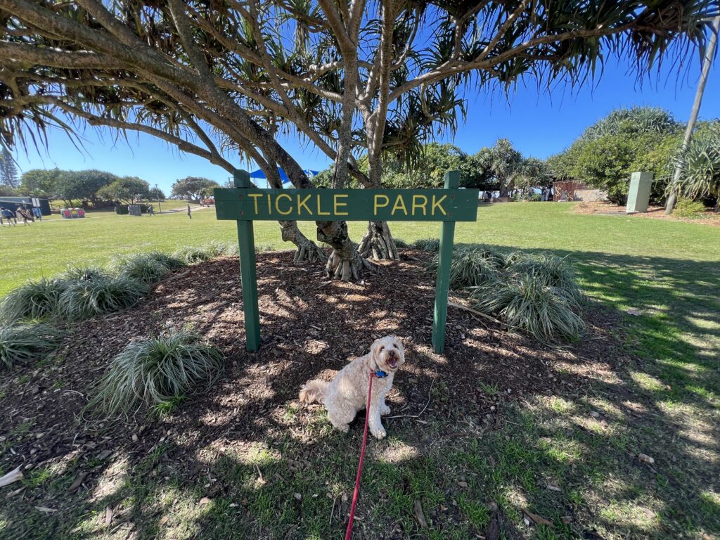 Ruff Ruff Reviews - Tickle Park, Coolum - Ralph sitting next to park sign
