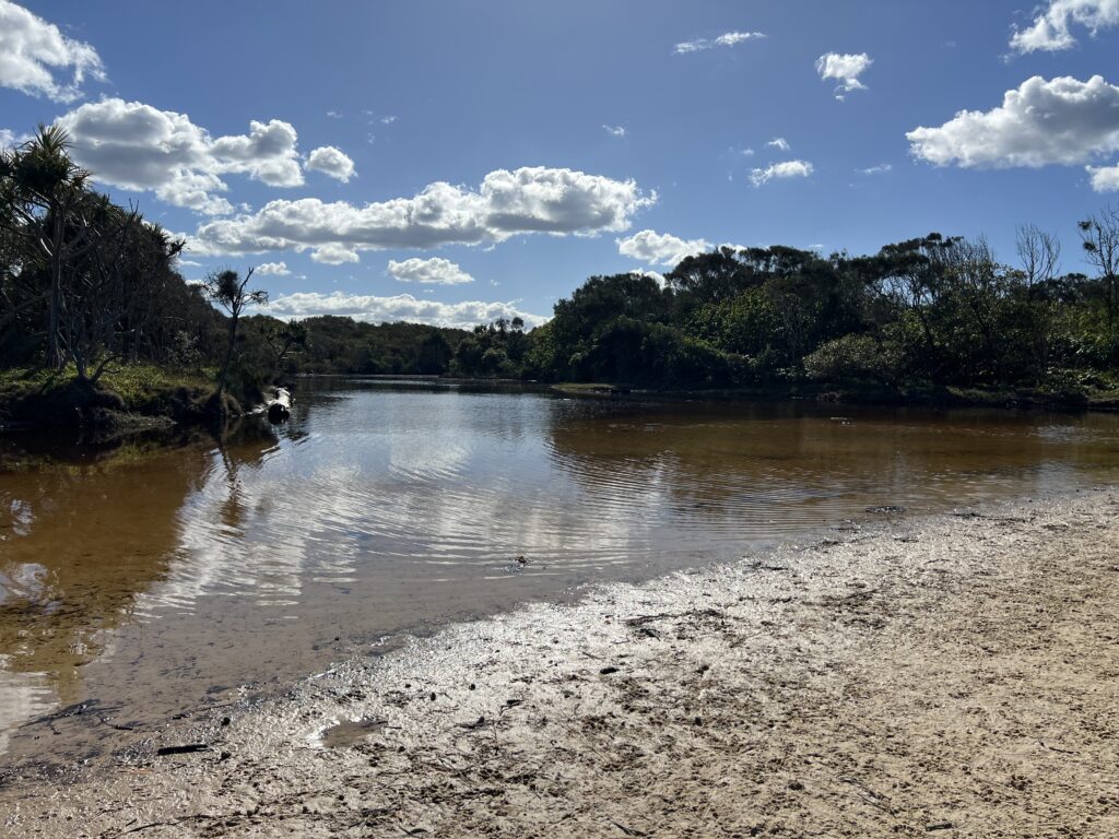 Ruff Ruff Reviews - Stumner Creek Road Beach, Coolum - Creek views