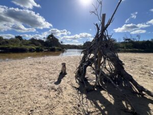 Ruff Ruff Reviews - Stumner Creek Road Beach, Coolum - Ralph next to temple of sticks