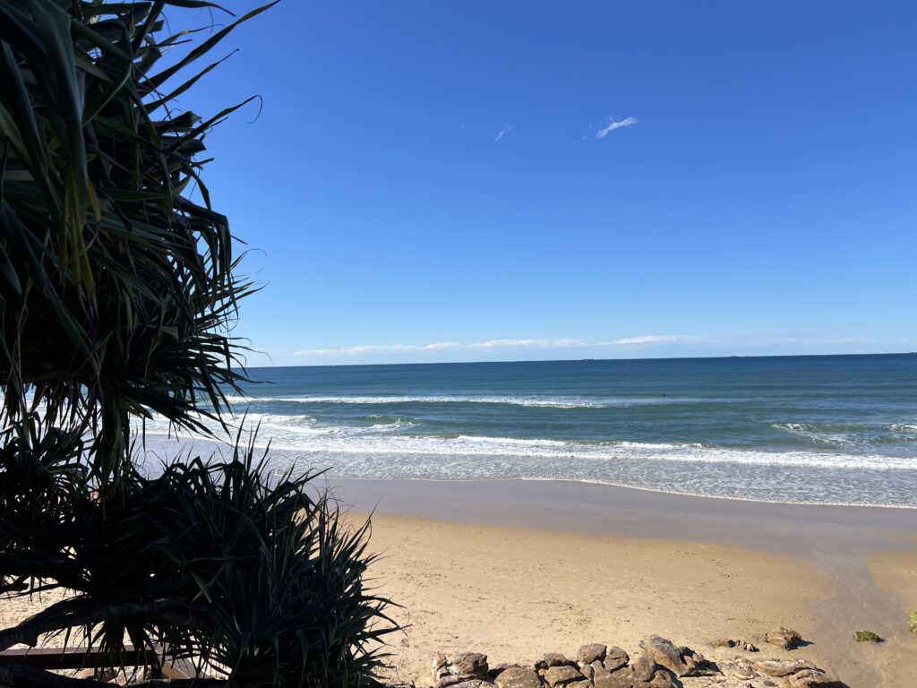 Ruff Ruff Reviews - Ballinger Beach, Currimundi - Beach views