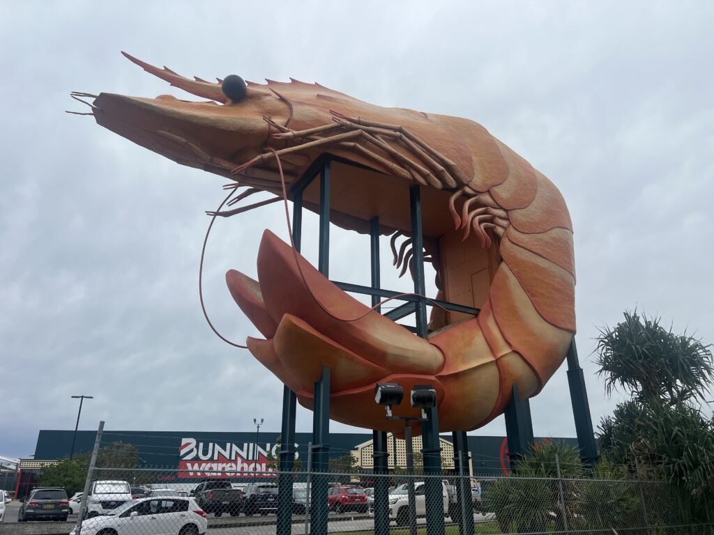 Ruff Ruff Reviews - The Big Prawn Ballina