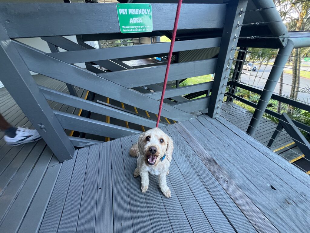 Ruff Ruff Reviews - The Big Banana, Coffs Harbour - Ralph in front of dog sign