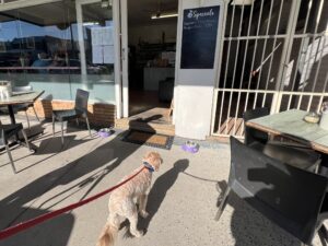 Ruff Ruff Reviews - Earthborn Bowra Cafe, Nambucca Heads - Ralph outside