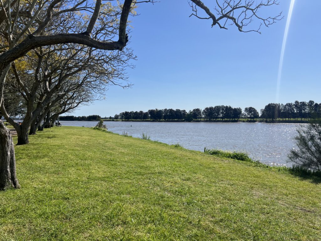 Ruff Ruff Reviews - Riverside Park, Raymond Terrace, Port Stephens - Park views