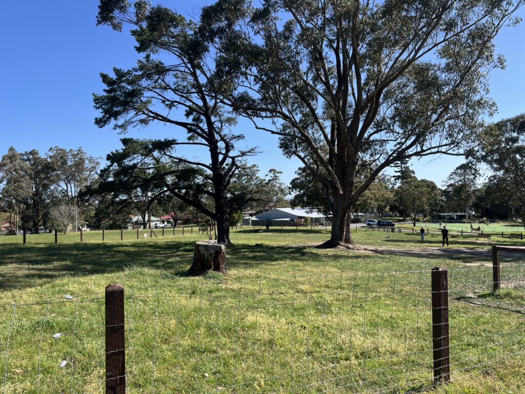 Ruff Ruff Reviews - Boomerang Dog Park, Raymond Terrace, Port Stephens - park views
