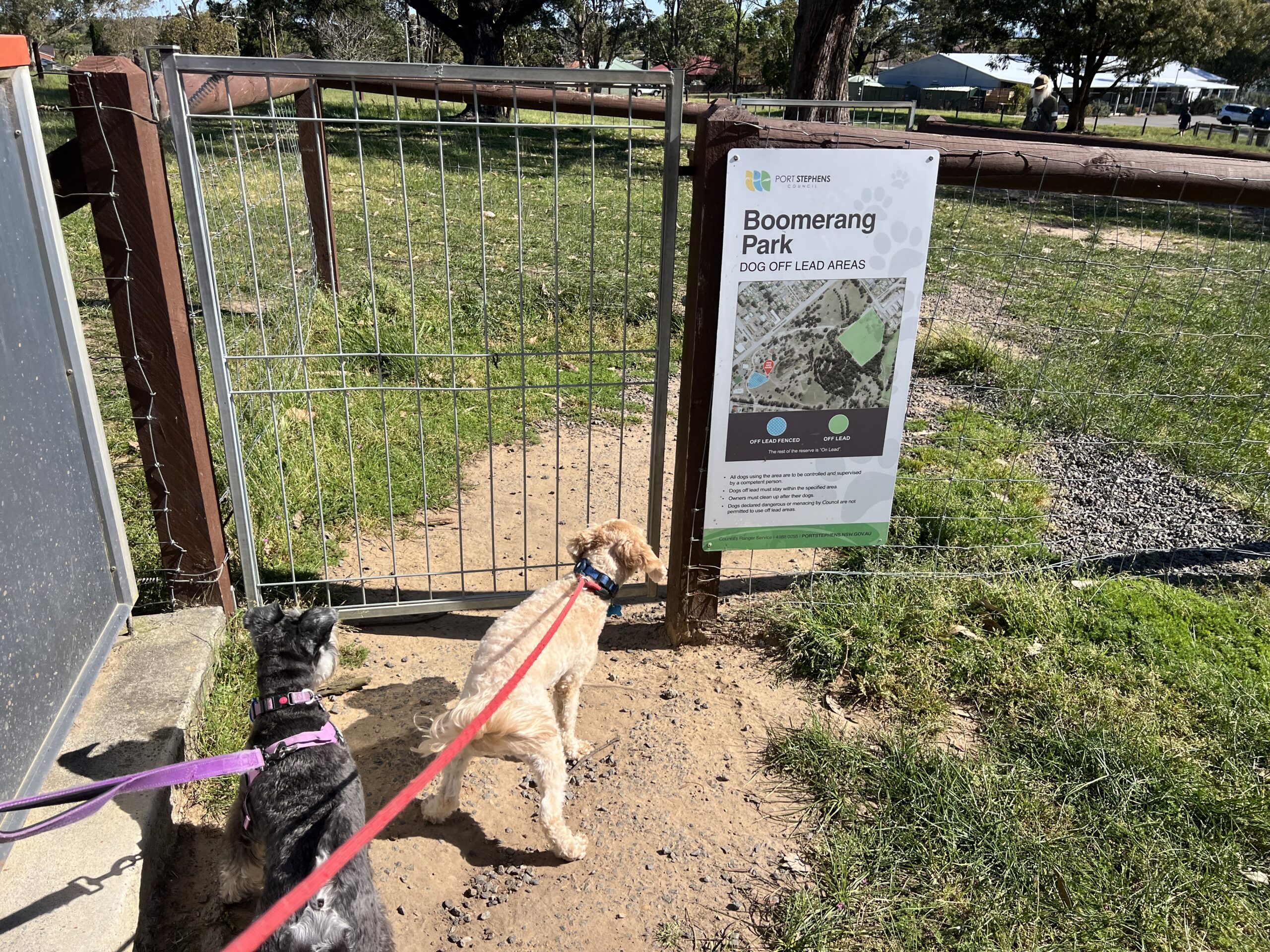 Ruff Ruff Reviews - Boomerang Dog Park, Raymond Terrace, Port Stephens - Ralph and Luna at entrance