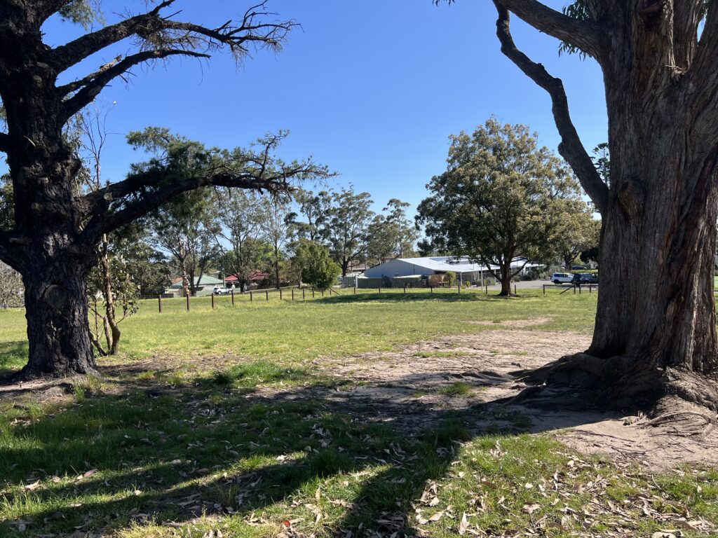 Ruff Ruff Reviews - Boomerang Dog Park, Raymond Terrace, Port Stephens - park views