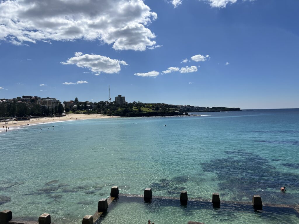 Ruff Ruff Reviews - Maroubra to Coogee Coastal Walk, Randwick, Sydney, New South Wales - Dog-friendly walk - ocean views