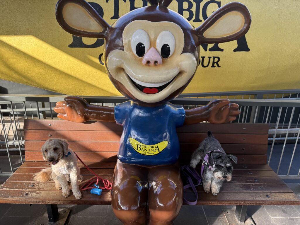 Ruff Ruff Reviews - The Big Banana, Coffs Harbour - Ralph and Luna next to monkey