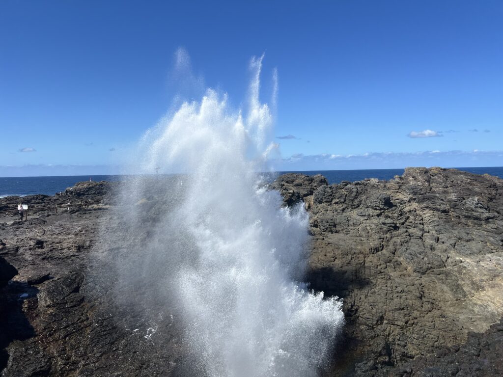 Ruff Ruff Reviews - Kiama Blowhole, Kiama, NSW - Splashes