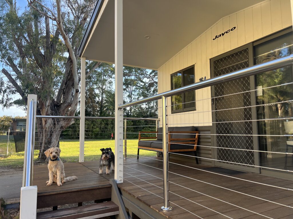 Ruff Ruff Reviews - Batemans Bay Marina Resort, Batemans Bay - Ralph and Luna on balcony