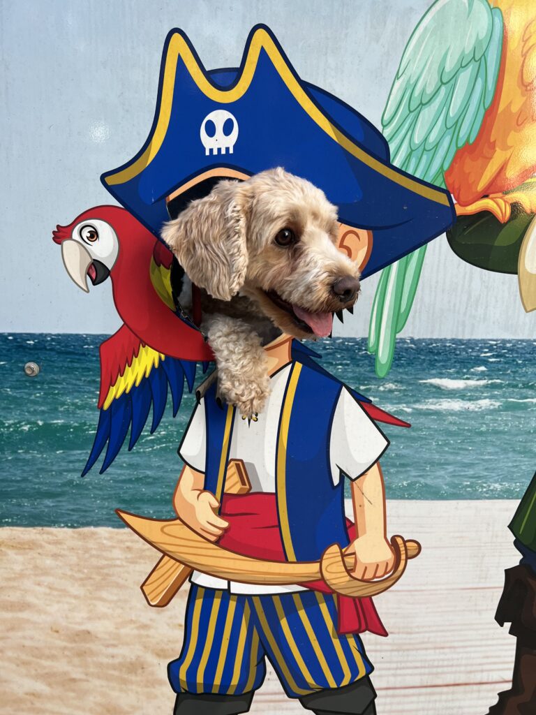 Ruff Ruff Reviews - Batemans Bay Marina Resort, Batemans Bay - Ralph on pirate photowall
