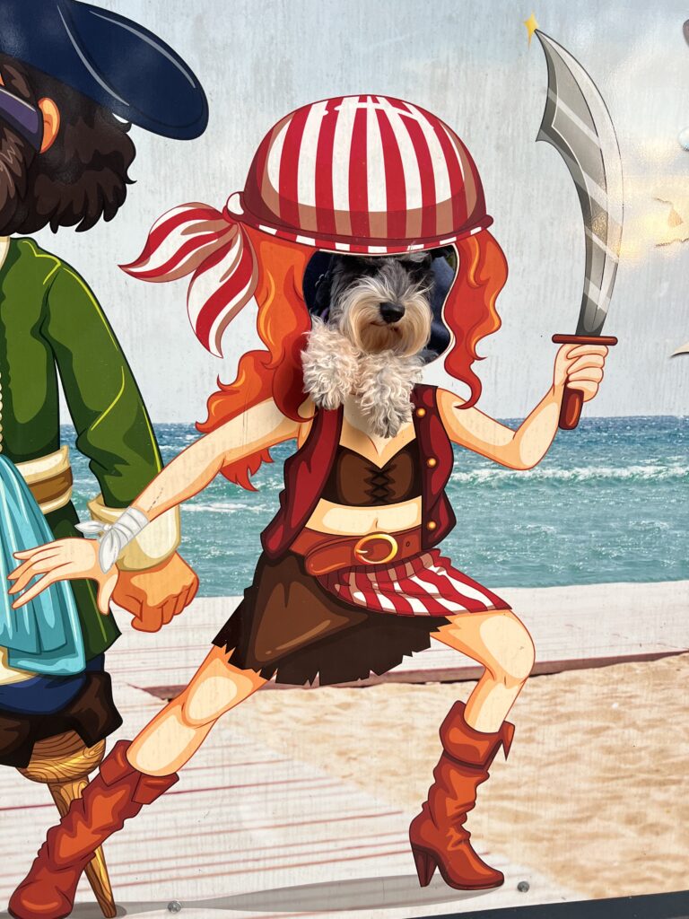 Ruff Ruff Reviews - Batemans Bay Marina Resort, Batemans Bay - Luna on pirate photowall