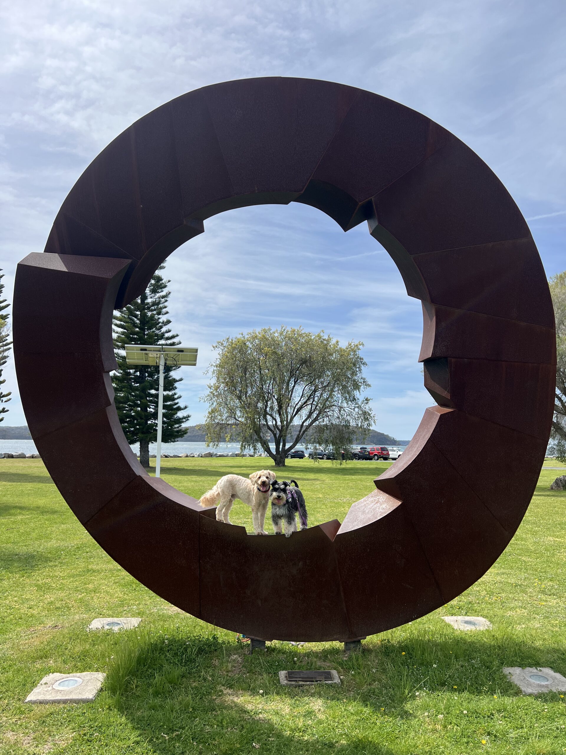 Ruff Ruff Reviews - Beach Road Foreshore, Batemans Bay - Ralph and Luna on circular public artwork