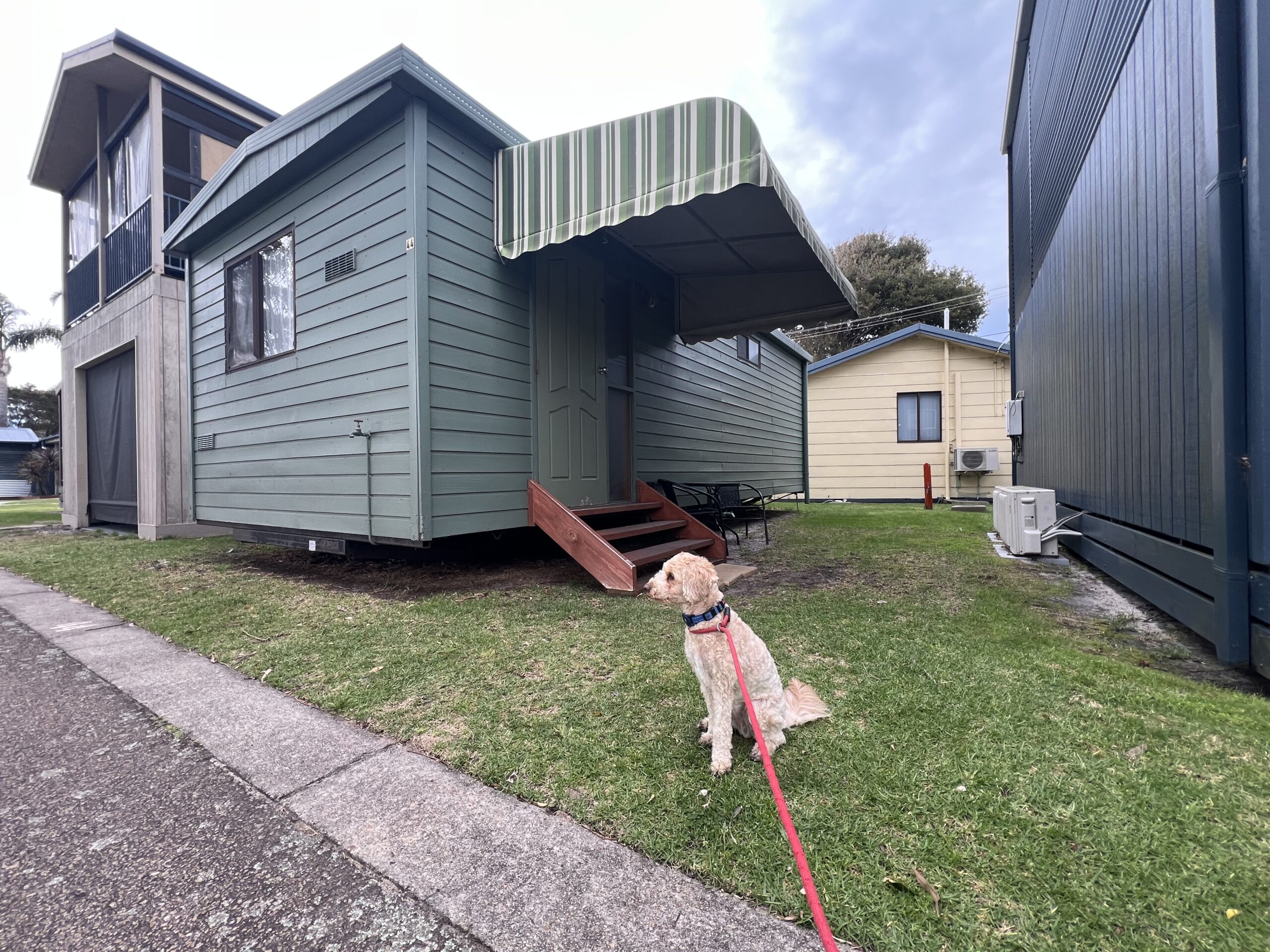 Ruff Ruff Reviews - Koonwarra Holiday Park, Lakes Entrance, Victoria - Ralph in front of cabin