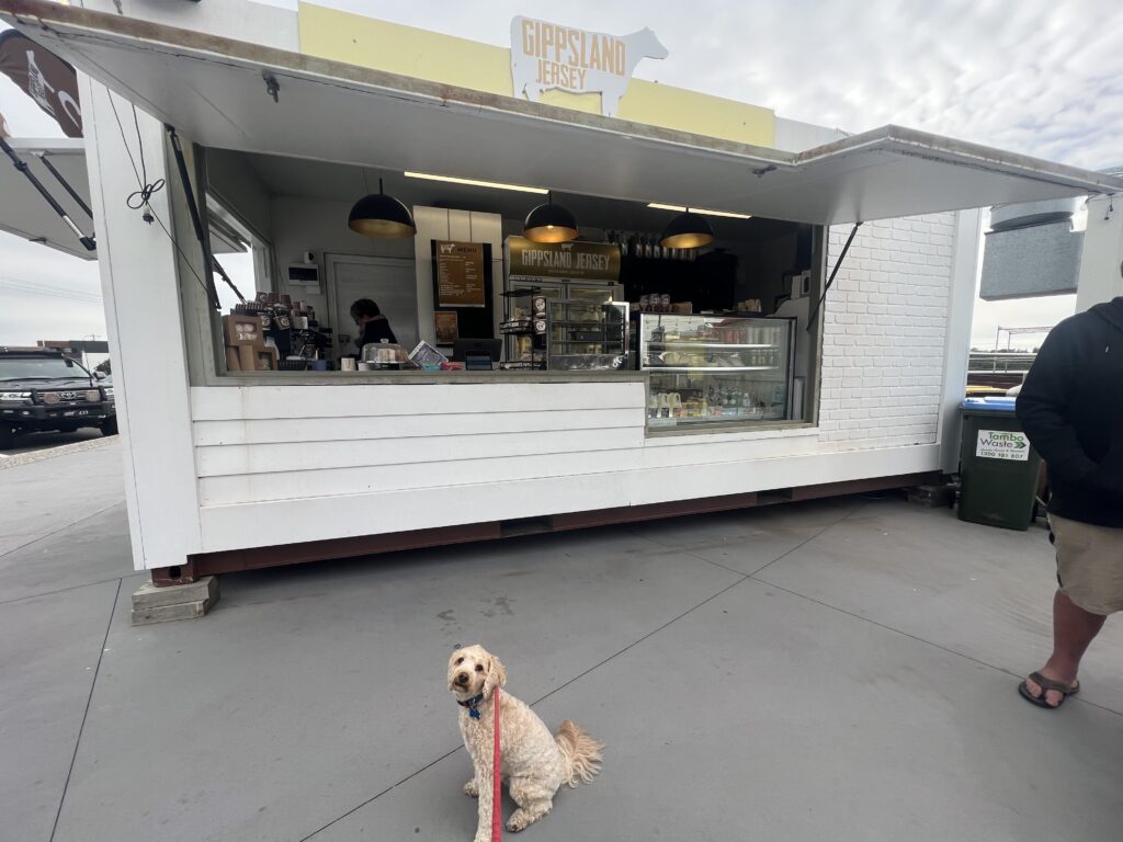 Ruff Ruff Reviews - Gippsland Jersey, Lakes Entrance, Victoria - Ralph at front of cafe