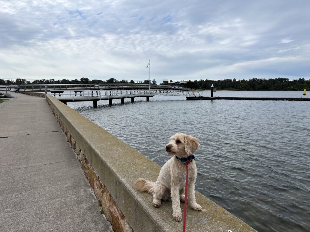 Ruff Ruff Reviews - Lakes Entrance Foreshore, Lakes Entrance, Victoria - Ralph