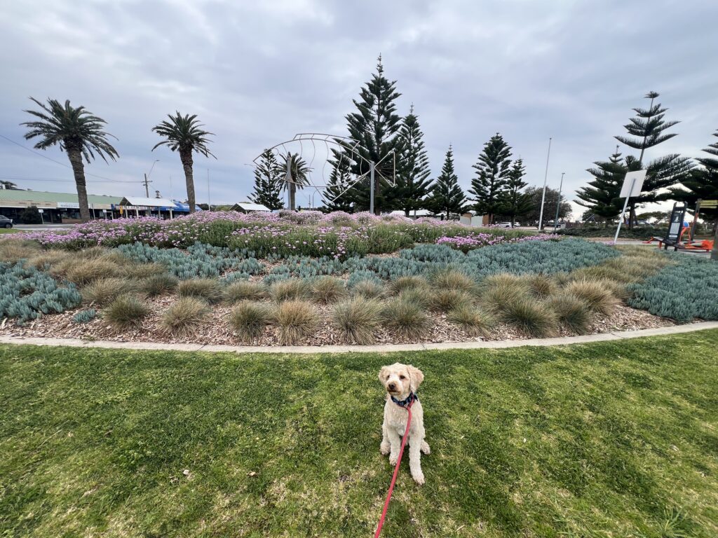 Ruff Ruff Reviews - Lakes Entrance Foreshore, Lakes Entrance, Victoria - Ralph at foreshore park