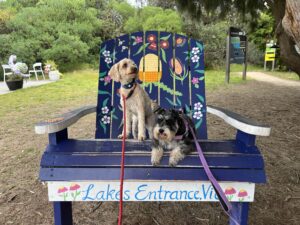 Ruff Ruff Reviews - Lakes Entrance Surf Life Saving Club (SLSC), Lakes Entrance - Ralph and Luna