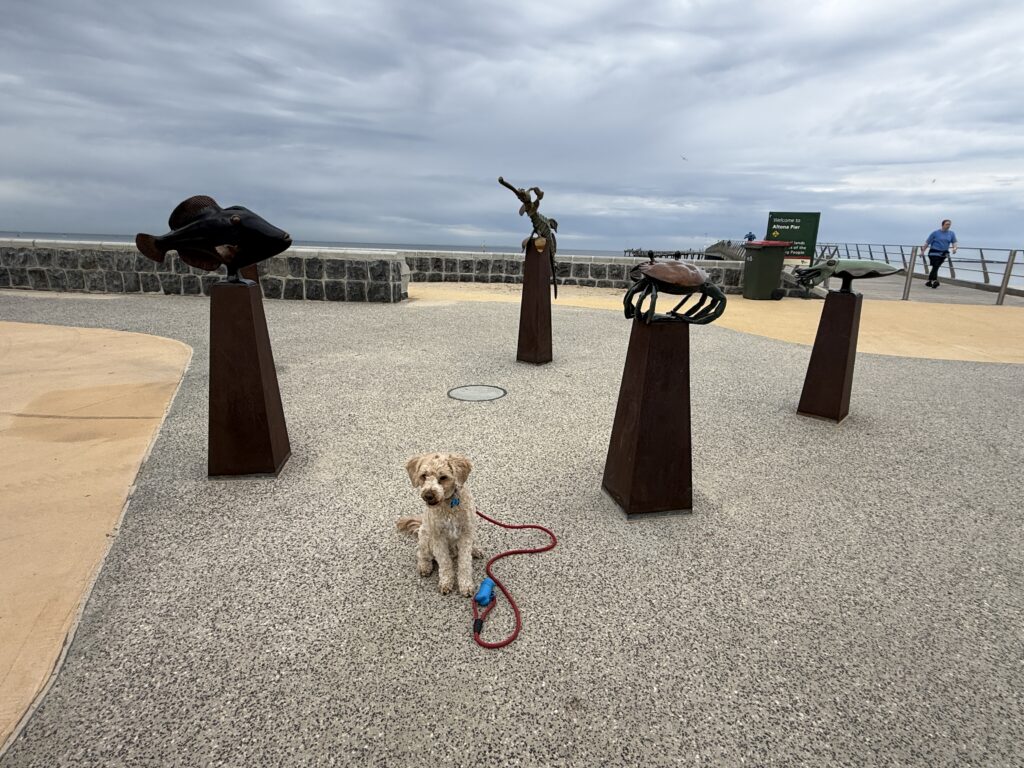 Ruff Ruff Reviews - Altona Beach, Victoria - Ralph next to statutes