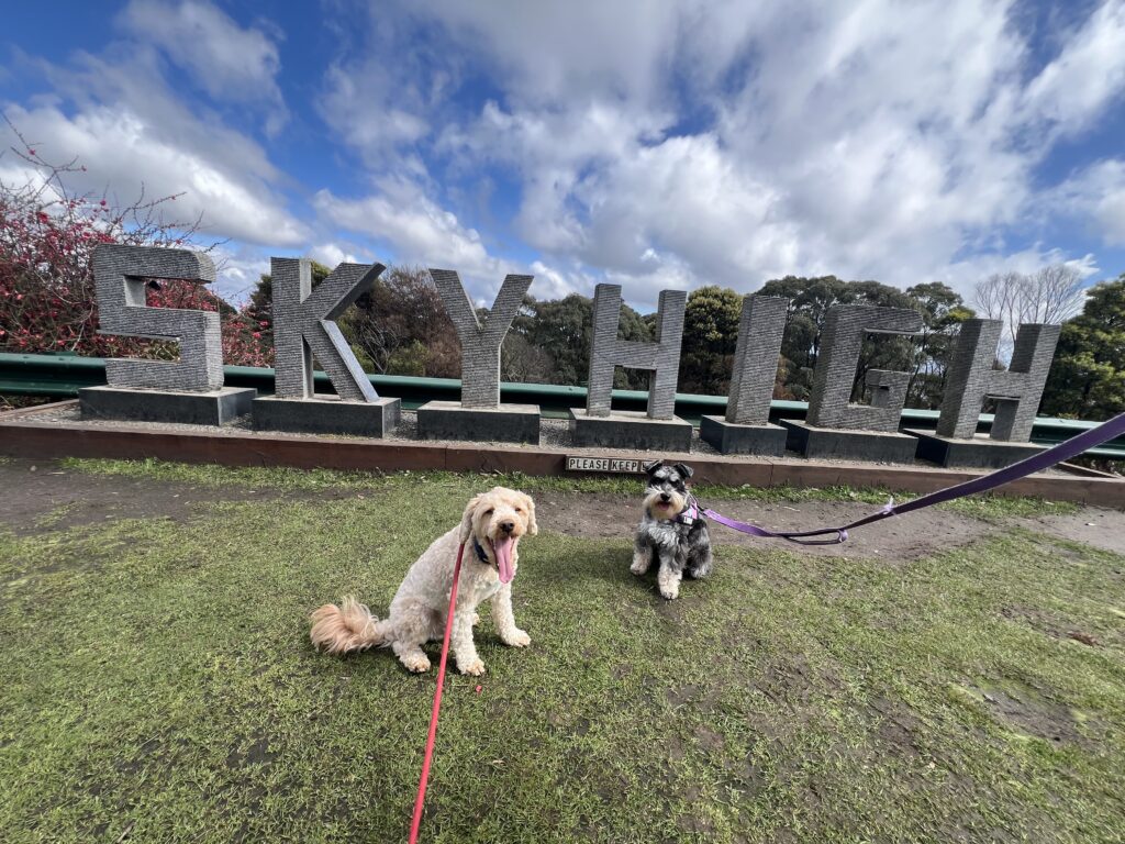Ruff Ruff Reviews - SkyHigh, Mount Dandenong, Victoria - Ralph and Luna