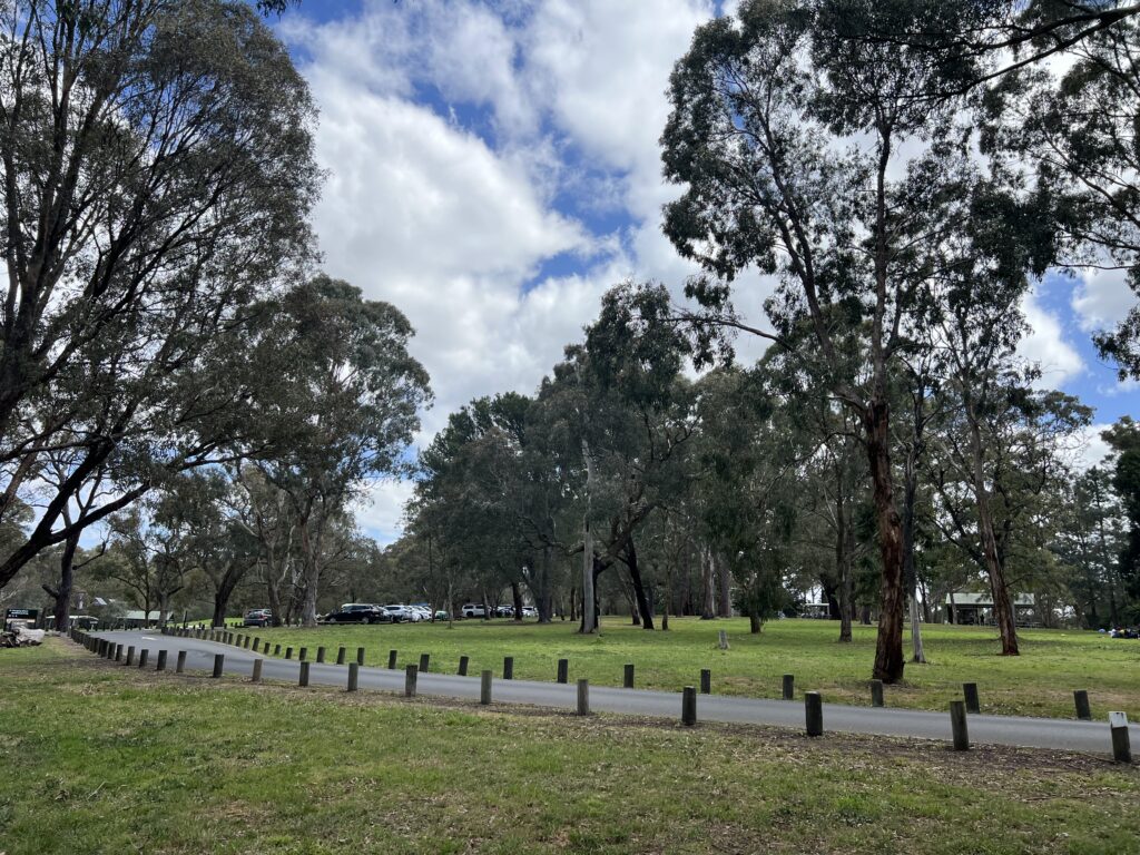 Ruff Ruff Reviews - Jells Park, Wheelers Hill, Victoria - Park Views
