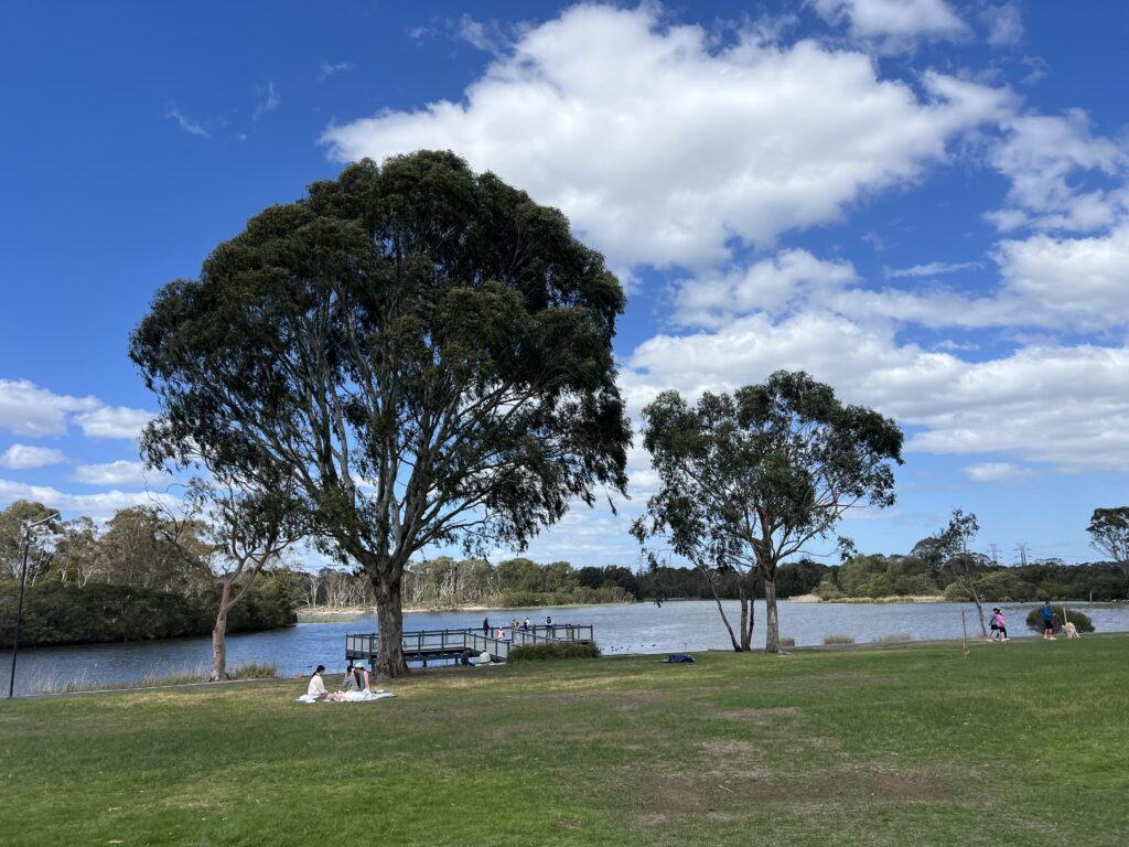 Ruff Ruff Reviews - Jells Park, Wheelers Hill, Victoria - Park Views