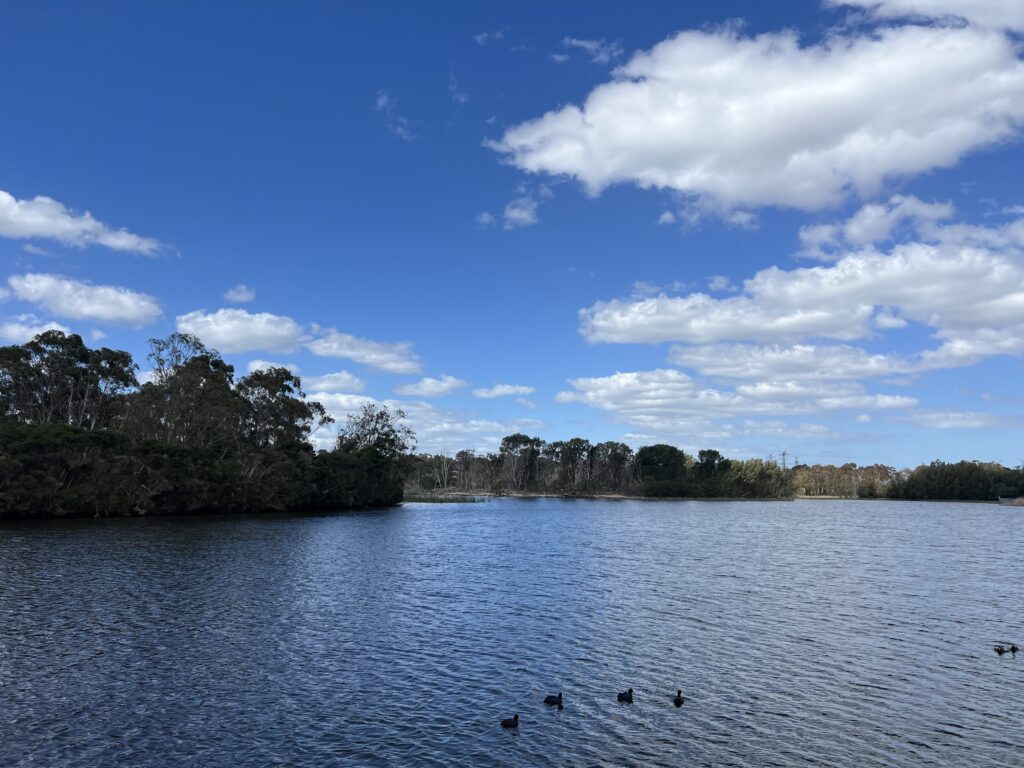 Ruff Ruff Reviews - Jells Park, Wheelers Hill, Victoria - Park Views