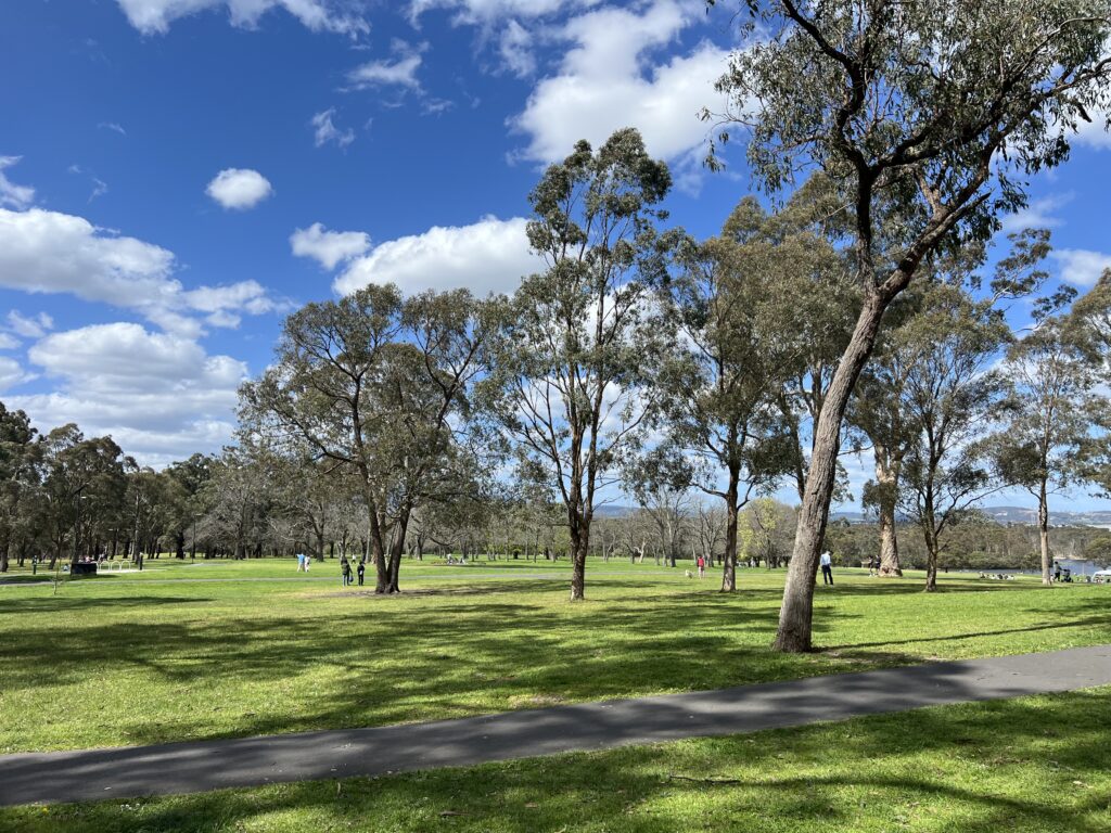 Ruff Ruff Reviews - Jells Park, Wheelers Hill, Victoria - Park Views
