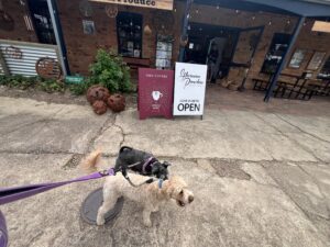 Ruff Ruff Reviews - Glenrowan Providore, Glenrowan, Victoria - Ralph and una outside cafe