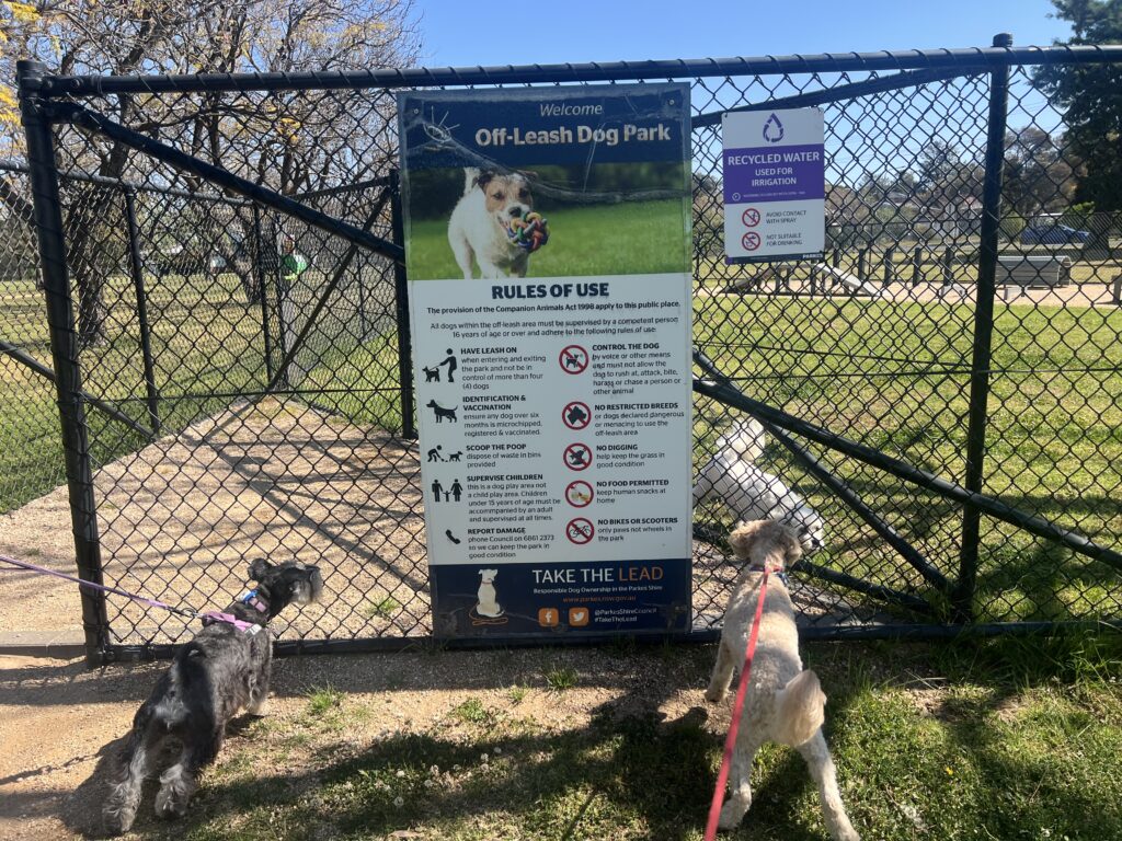 Ruff Ruff Reviews, Kelly Reserve Dog Park, Parkes, New South Wales - Ralph and Luna reading sign