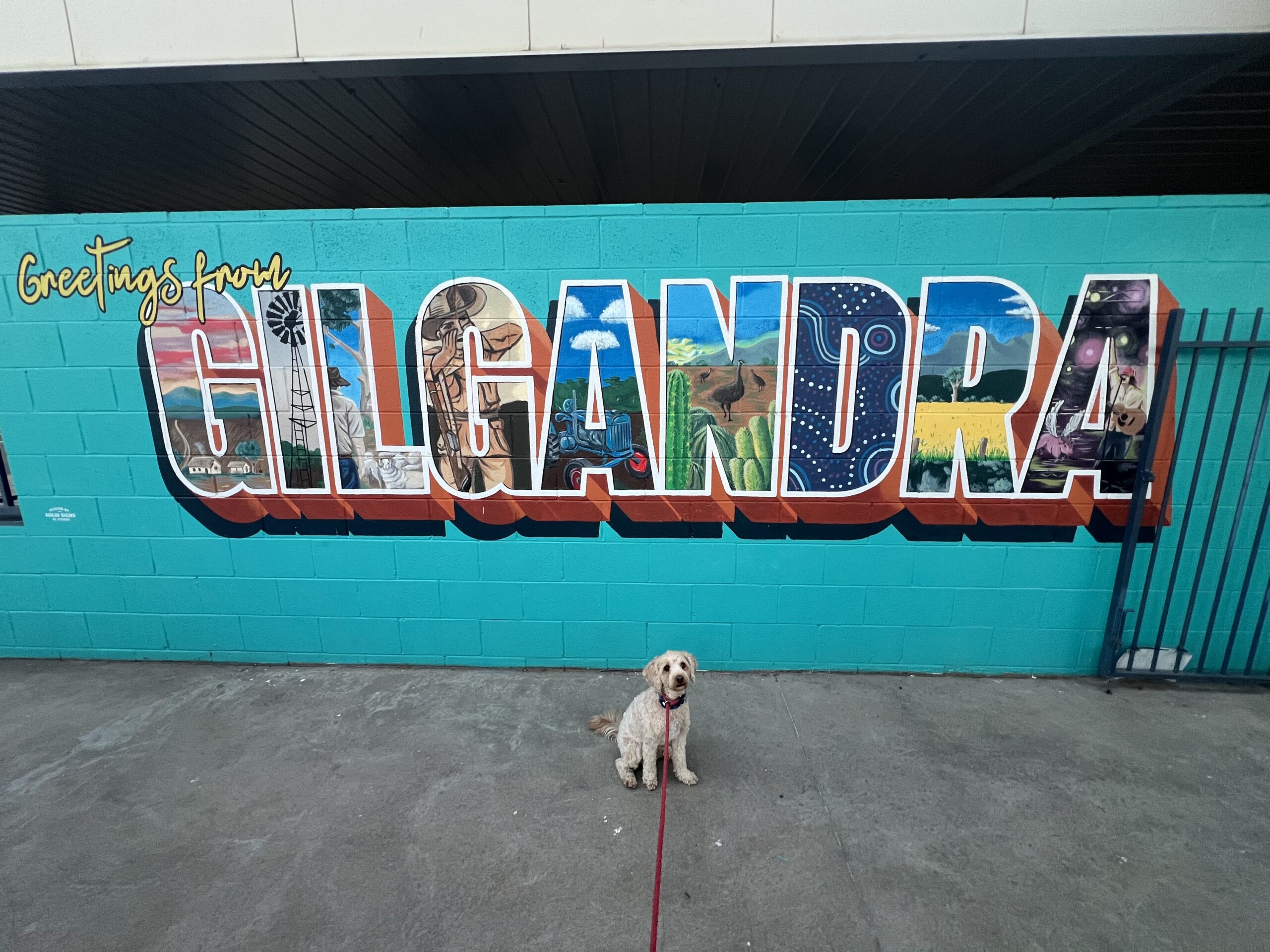 Ruff Ruff Reviews - Silver Oaks Motel, Gilgandra, New South Wales - Ralph near Gilgandra sign